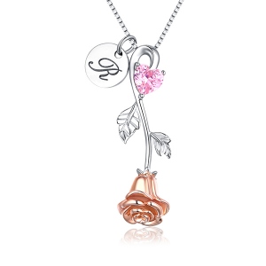 Rose Heart Birthstone with Initials Necklace