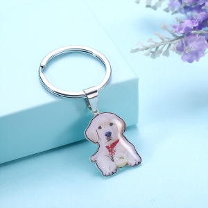 Engraved Pet Color Photo Keychain