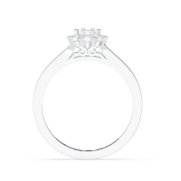 The Lady's Legacy Engagement Ring