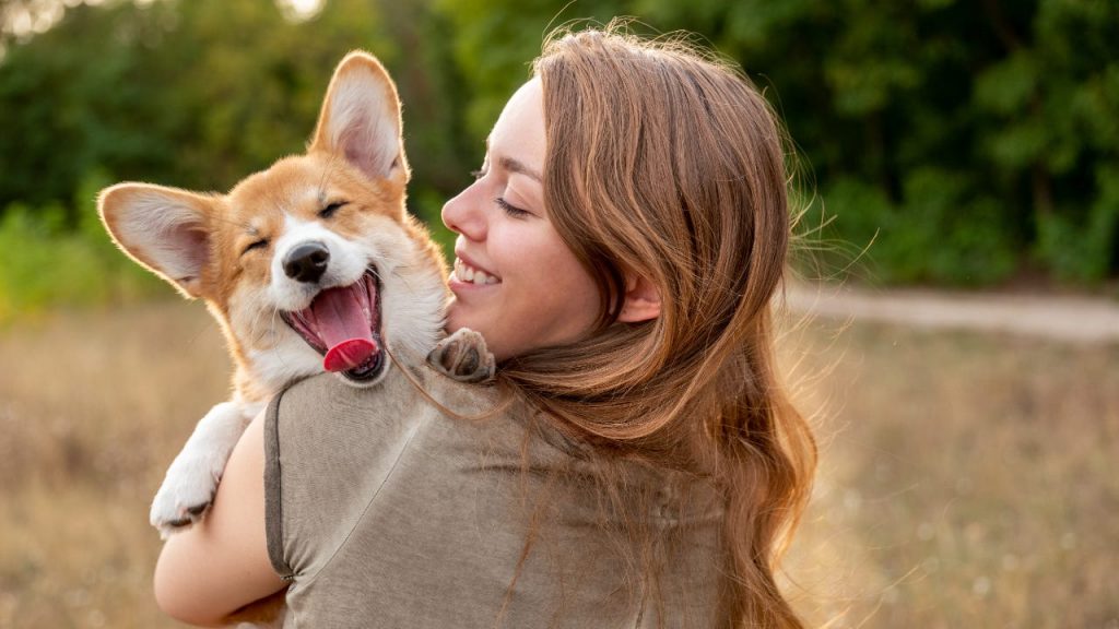 Die fünf besten Geschenke für Tierliebhaber