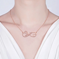 Customized Infinity Paw Print Name Necklace In Rose Gold