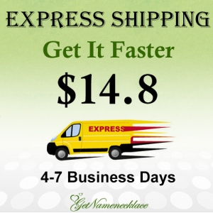 Express Shipping(DHL)