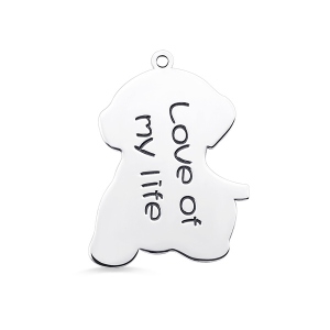 Customized Picture-Engraved Pets Keychain Necklace